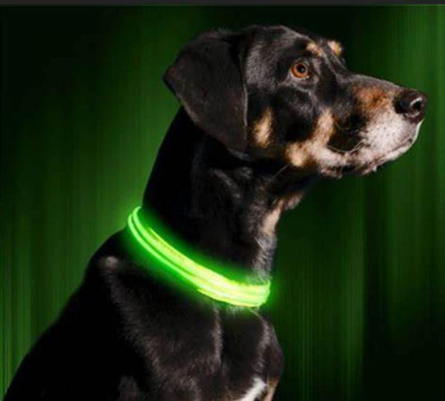 Adjustable LED Pet Collar for Safe Night Walks - Waterproof Design, Glows in the Dark Lazy Leash Dog Jewelry Adjustable Cat Dog Vest