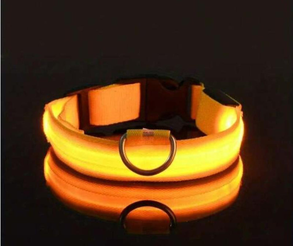 Adjustable LED Pet Collar for Safe Night Walks - Waterproof Design, Glows in the Dark Lazy Leash Dog Jewelry Adjustable Cat Dog Vest