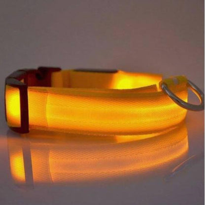Adjustable LED Pet Collar for Safe Night Walks - Waterproof Design, Glows in the Dark Lazy Leash Dog Jewelry Adjustable Cat Dog Vest