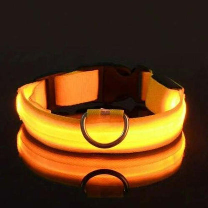 Adjustable LED Pet Collar for Safe Night Walks - Waterproof Design, Glows in the Dark Lazy Leash Dog Jewelry Adjustable Cat Dog Vest