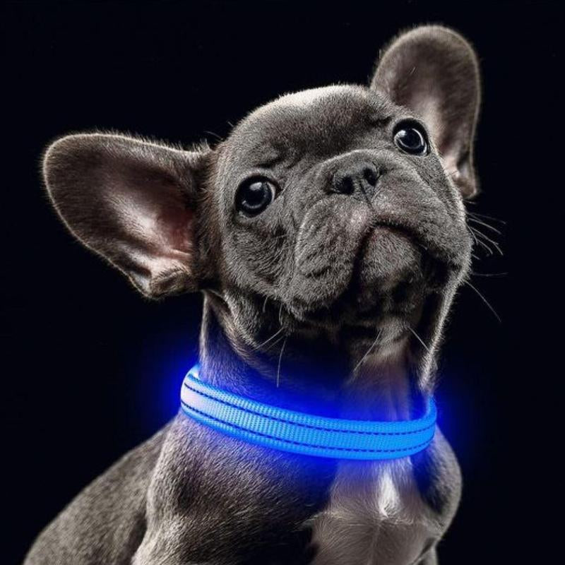 Adjustable LED Pet Collar for Safe Night Walks - Waterproof Design, Glows in the Dark Lazy Leash Dog Jewelry Adjustable Cat Dog Vest