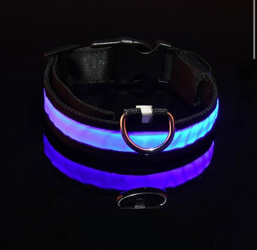 Adjustable LED Pet Collar for Safe Night Walks - Waterproof Design, Glows in the Dark Lazy Leash Dog Jewelry Adjustable Cat Dog Vest